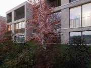 Zum Verkauf stehen 3 prächtige Villen in der Stadt Matran