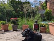 Zweifamilienhaus in Langenselbold ohne Makler