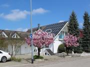 Zweigenerationshaus & Halle | Grundstück 1.920 m² | auch...