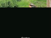 Zweistöckiges Einfamilienhaus zu verkaufen