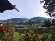 Zweitwohnsitz Chalet mit großem Grundstück und viel...