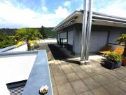 ZWISCHEN HIMMEL & GRÜN