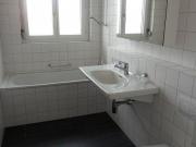 Zwischen Limmat und Rebbergen: Höngg verbindet Natur mit...