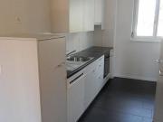 Zwischen Limmat und Rebbergen: Höngg verbindet Natur mit...