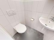 Zwischen Rhein und Stadtgrün Zwischen Rhein und Stadtgrün