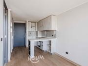 Ñuñoa, Avenida Vicuña Mackenna